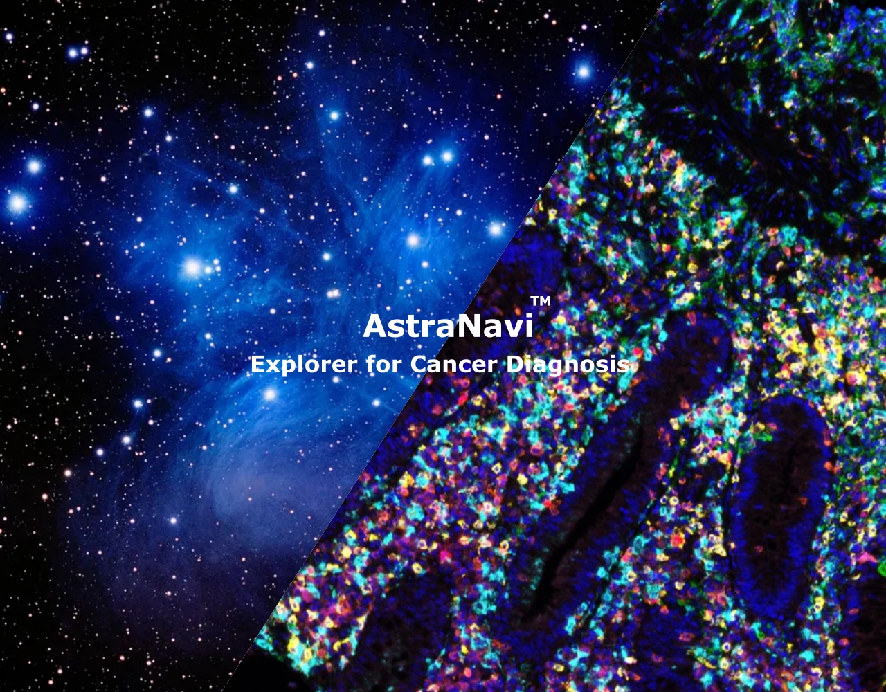 AstraNavi